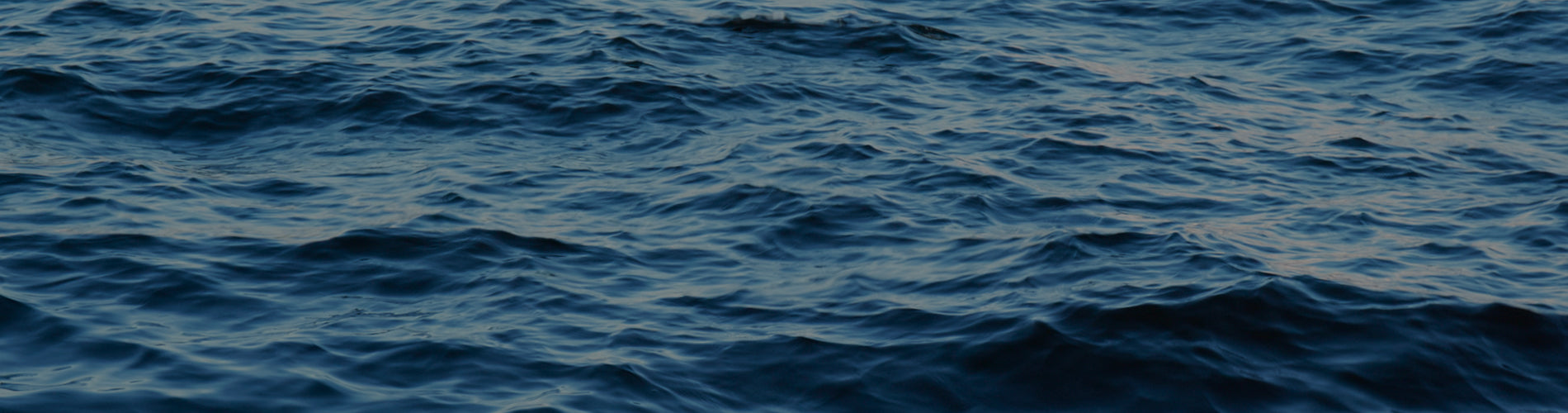 BMC_Swordfish_Mojo_Web_Assets