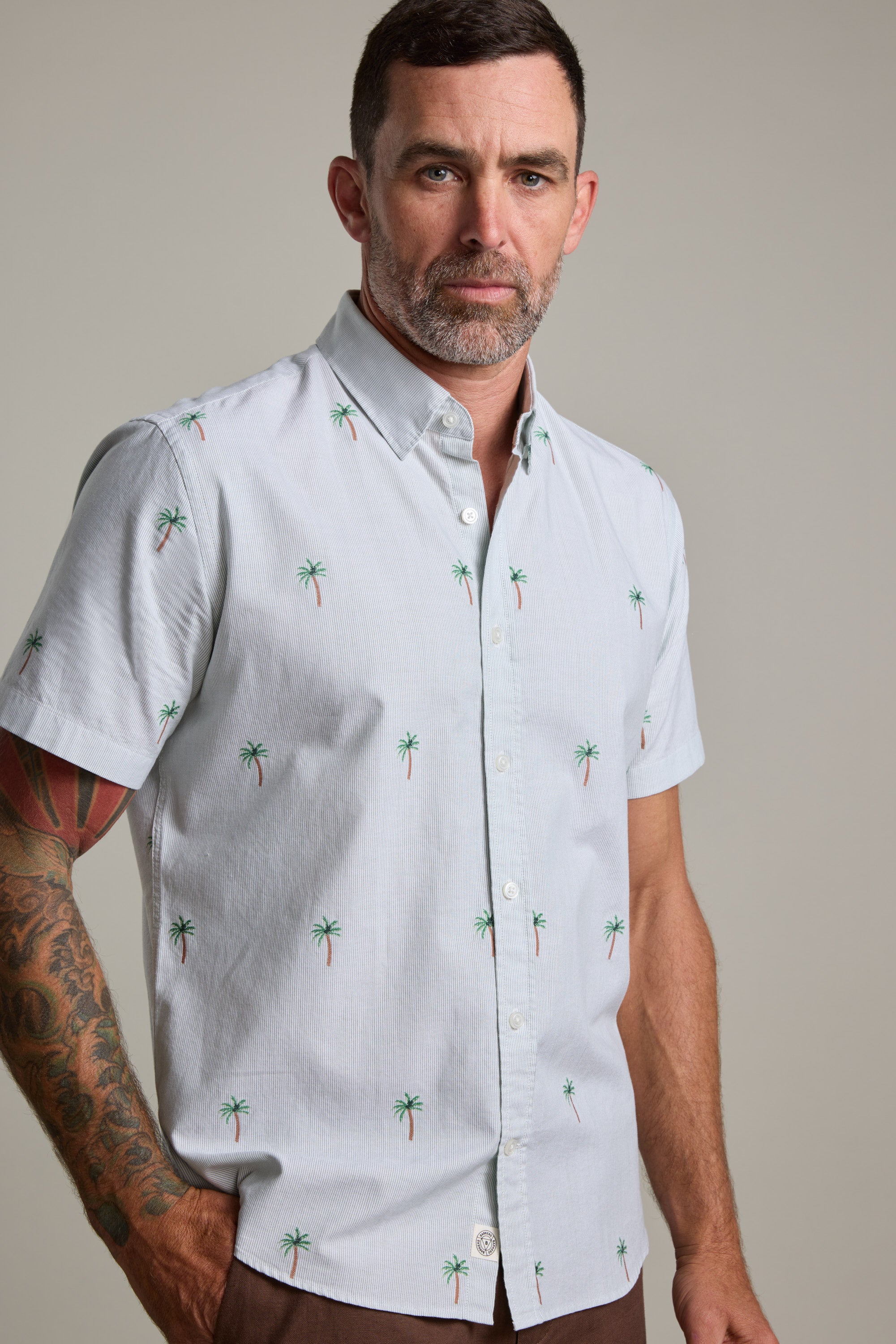 Barkers Palm Stripe Shirt in green/white