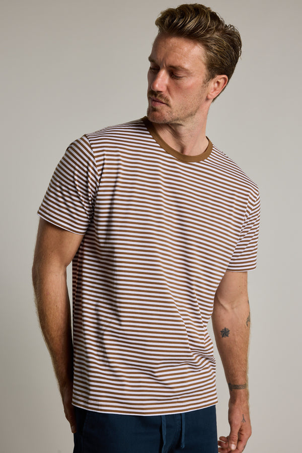 Barkers Rollins Supima Stripe Tee in brown, additional view