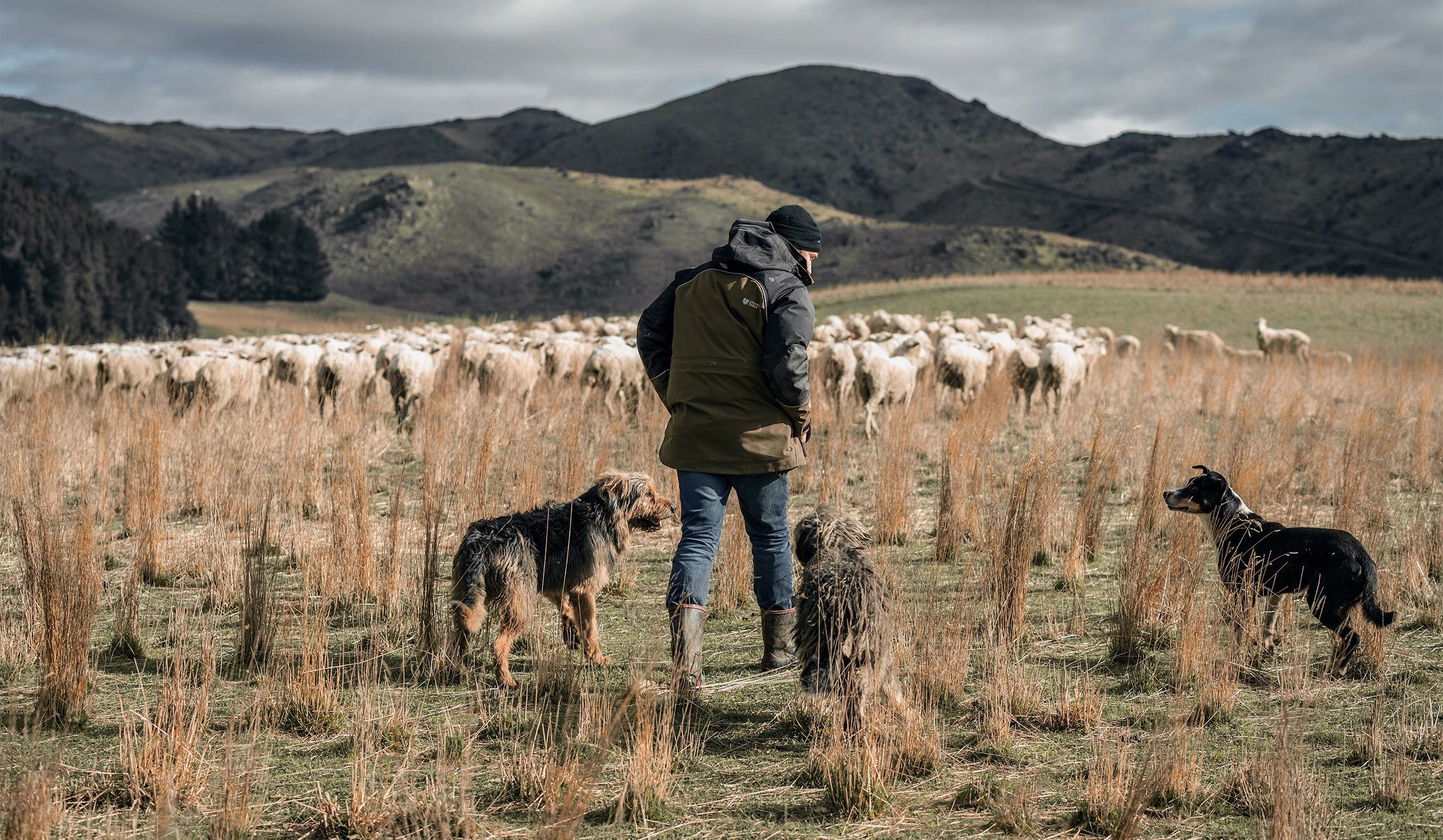 ZQ-Merino-Glenallen-Aug-19-high-res-40_G