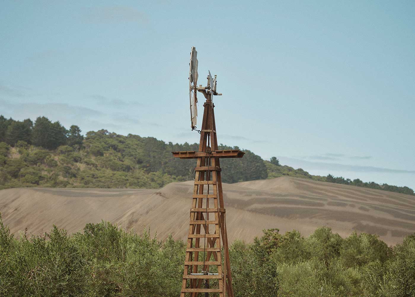 A rustic wooden windmill stands amid green bushes, with rolling hills and dense trees in the background under a pale blue sky.