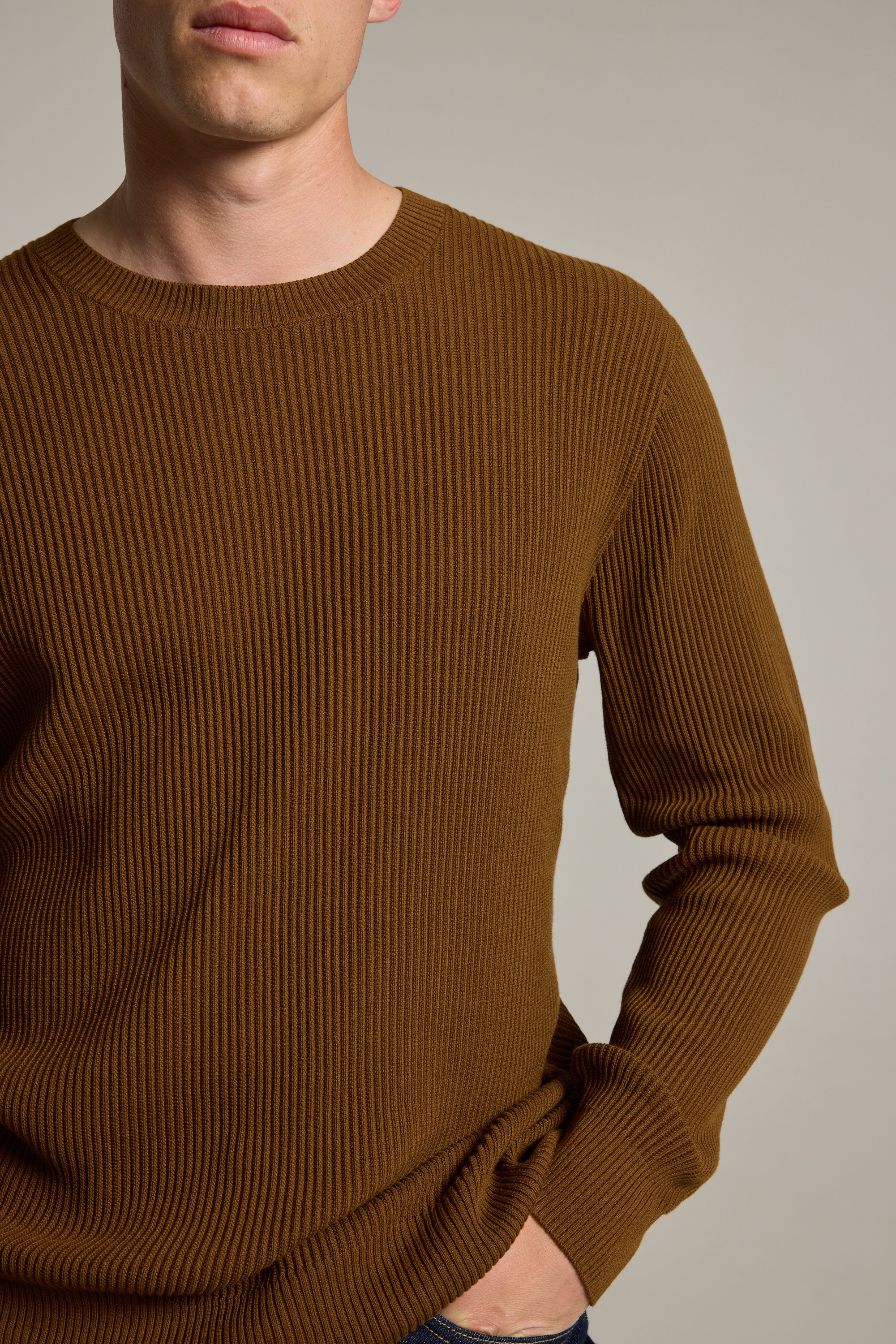 Barkers Robin Cotton Crew in rust, cotton, additional view
