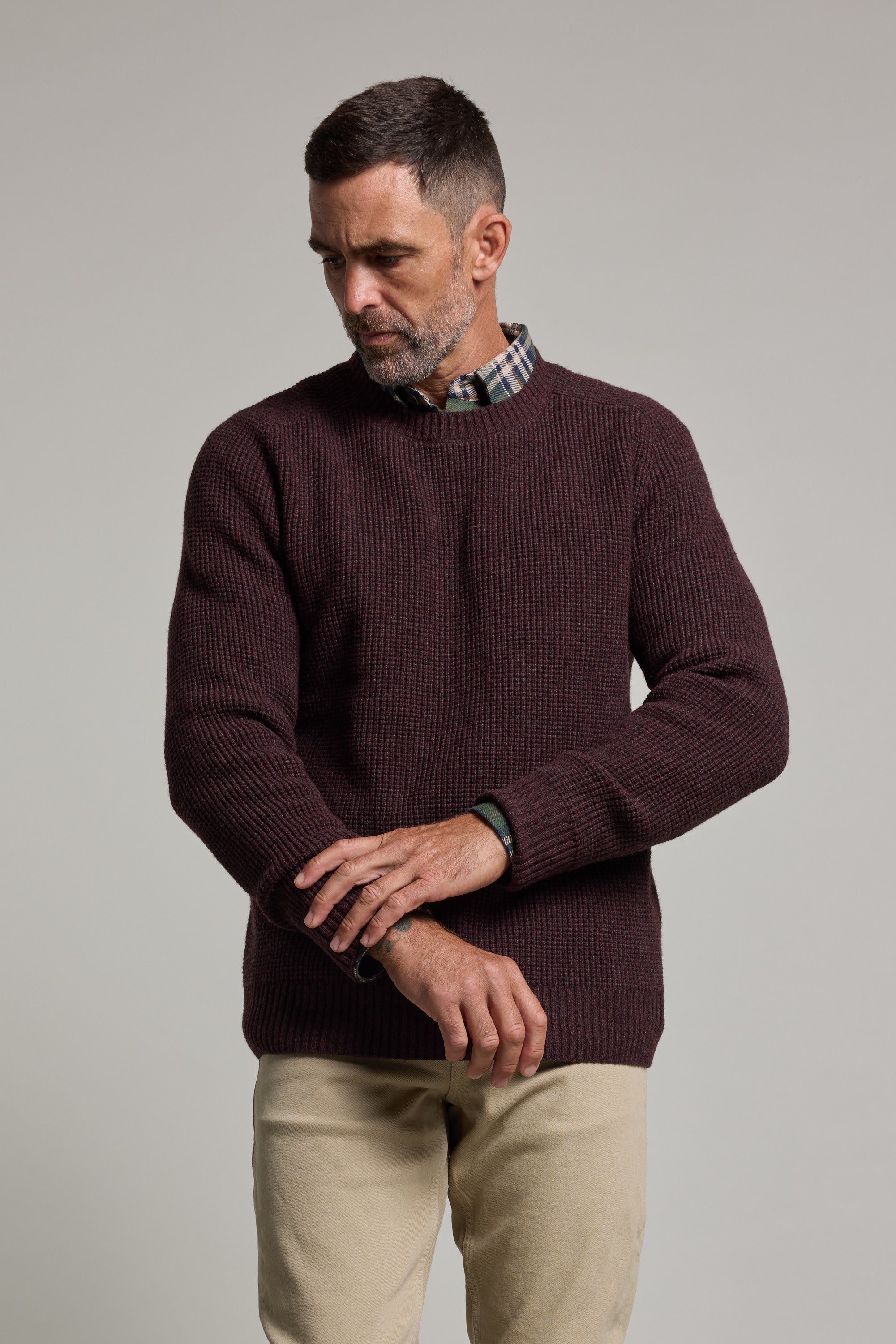 Barkers Mckenzie Woollen Crew in plum, additional view